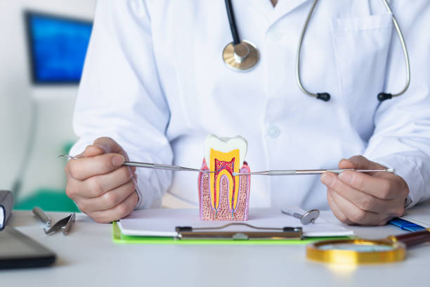 Best Dental Abscess Treatment in Tladega, AL